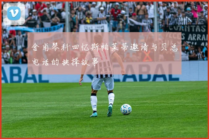 舍甫琴科回忆斯帕莱蒂邀请与贝总电话的抉择故事