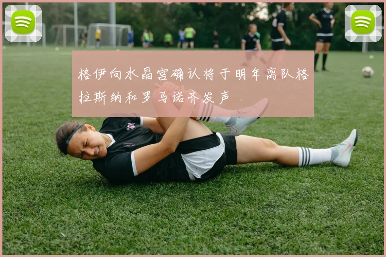 格伊向水晶宫确认将于明年离队格拉斯纳和罗马诺齐发声