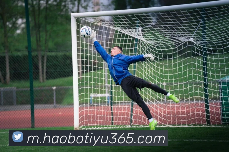 好博体育平台生态图